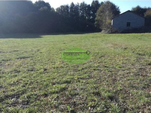 Terreno en venta en Allariz-Maceda, Galicia