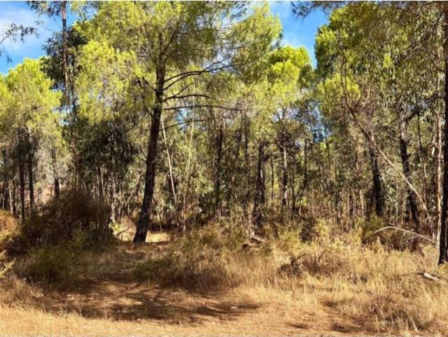 Terreno en venta en Beas, Huelva