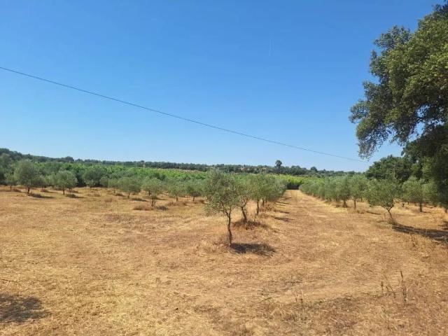 Terreno en venta en El Condado, Andalucía