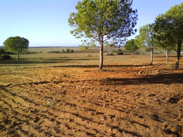 Terreno en venta en El Condado, Andalucía