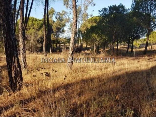 Terreno en venta en El Condado, Andalucía