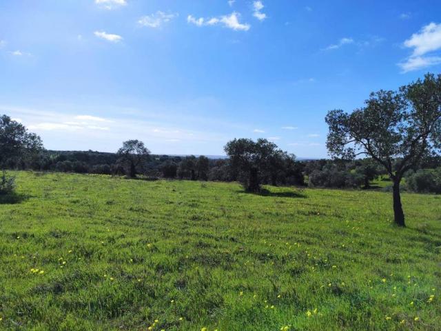 Terreno en venta en El Condado, Andalucía