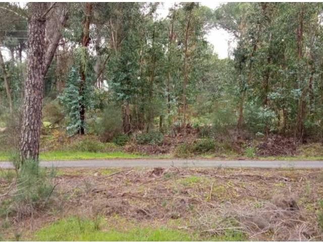 Terreno en venta en El Condado, Andalucía