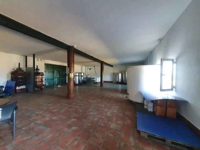 Terreno en venta en Comarca de Guadix, Andalucía
