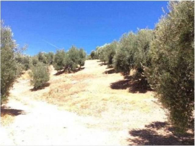Terreno en venta en Beas De Segura, Andalucía