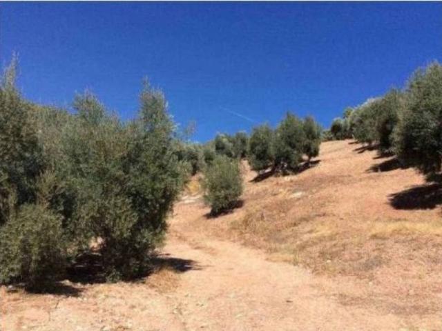 Terreno en venta en Beas De Segura, Andalucía