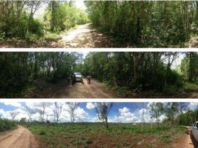 Terreno en venta en Tekax de Álvaro Obregón, Tekax