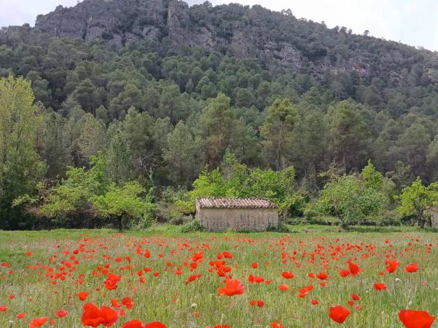 Terreno en venta en Matarraña / Matarranya, Beceite
