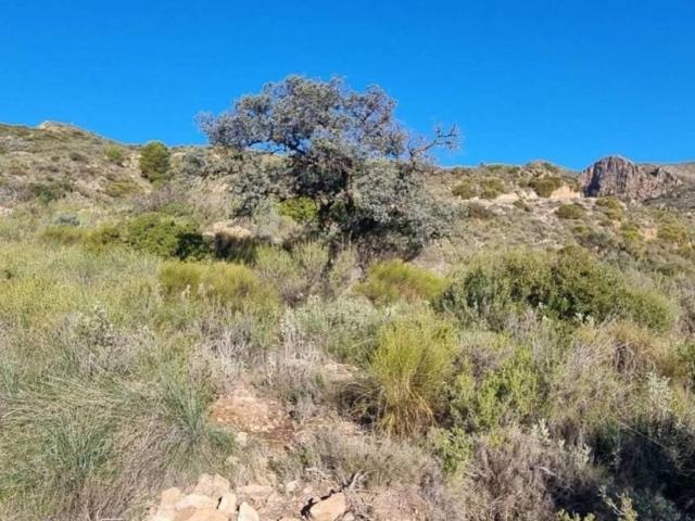 Terreno en venta en Bédar, Andalucía