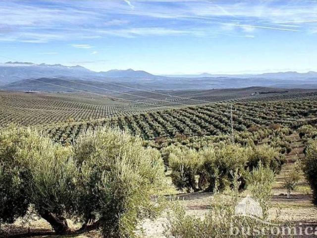Terreno en venta en Begíjar, Jaén