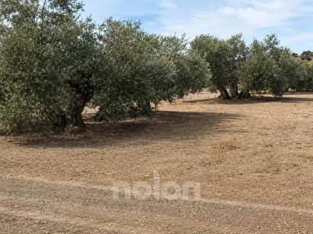 Terreno en venta en Begíjar, Andalucía