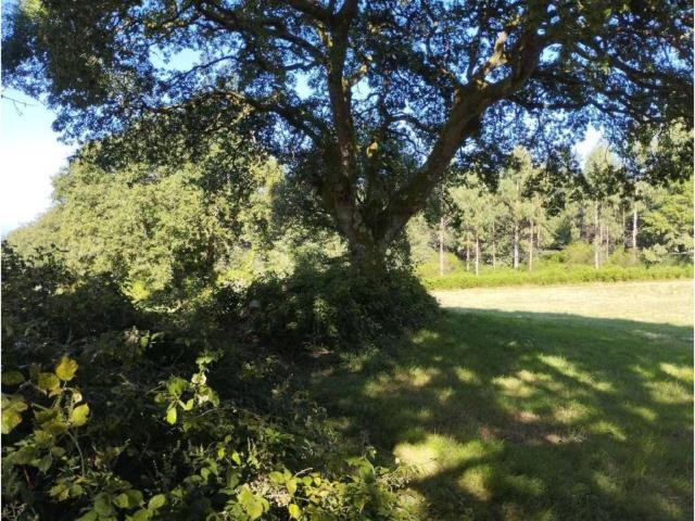 Terreno en venta en Terra Chá, Galicia