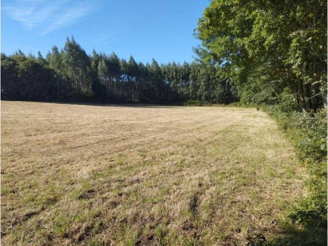 Terreno en venta en Terra Chá, Galicia