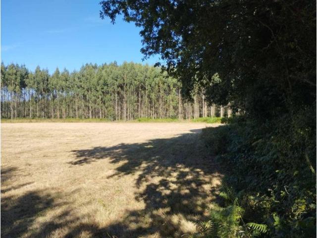 Terreno en venta en Terra Chá, Galicia