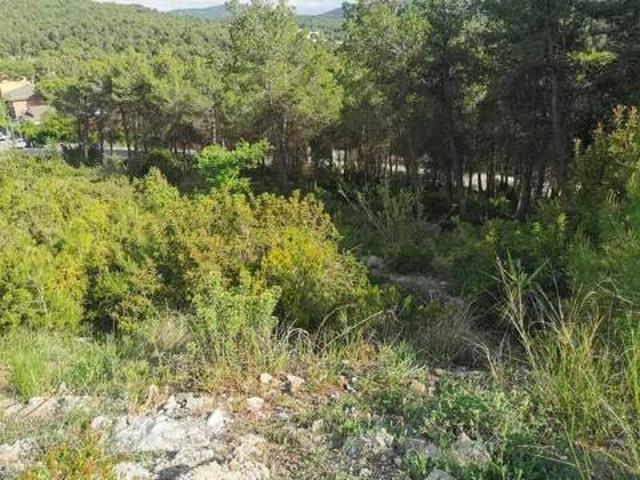 Terreno en venta en Urbanització Begues Park, Baix Llobregat