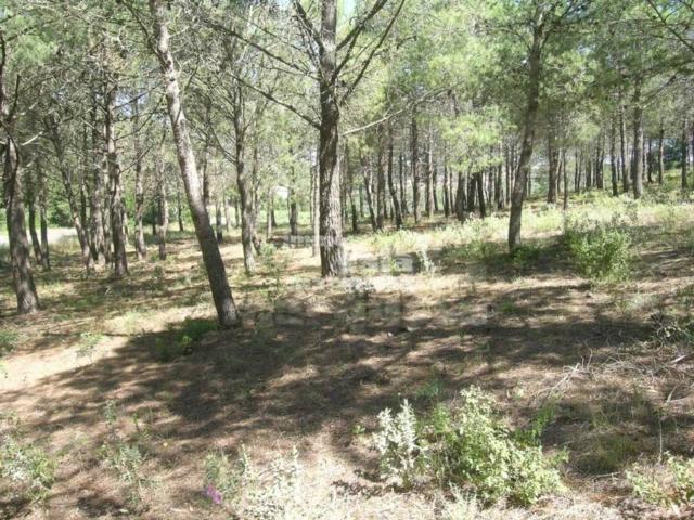 Terreno en venta en Baix Empordà, Catalunya
