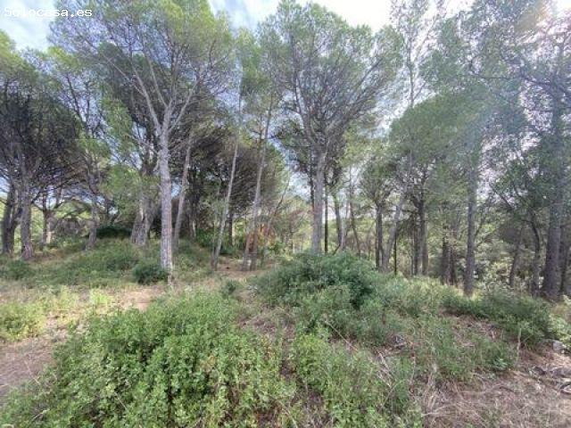 Local Comercial en venta en Baix Empordà, Catalunya