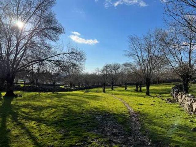 Terreno en venta en Béjar, Castilla y León