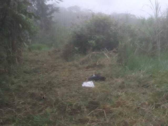 Terreno en venta en Montalbán, Carabobo