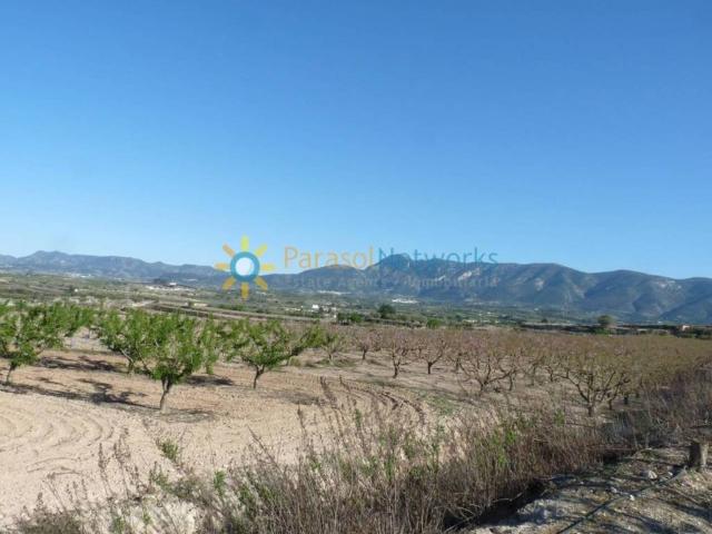 Terreno en venta en la Vall d'Albaida, Valencia