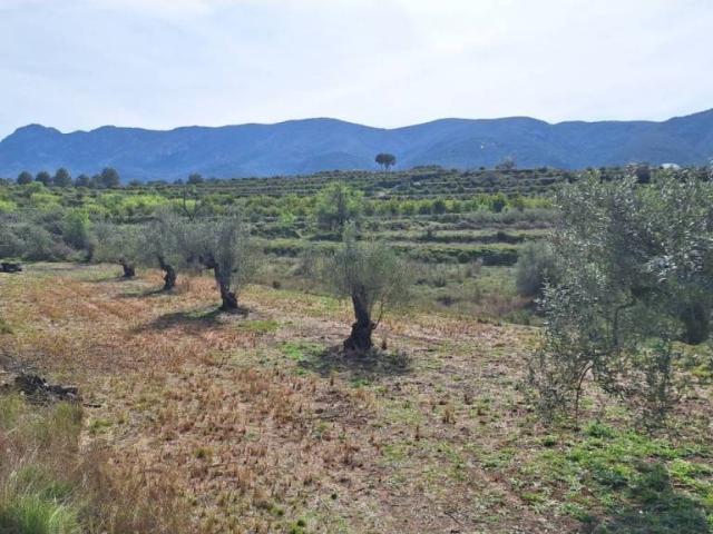 Terreno en venta en la Vall d'Albaida, Valencia