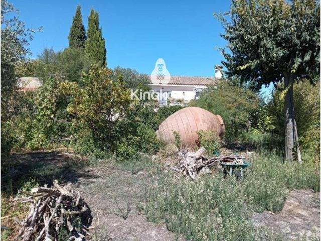 Terreno en venta en Belinchón, Castilla-La Mancha