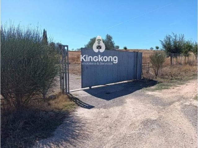 Terreno en venta en Belinchón, Castilla-La Mancha