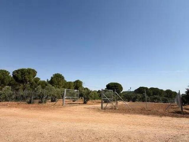 Terreno en venta en Belinchón, Castilla-La Mancha