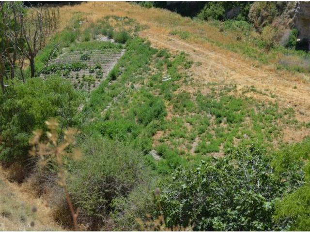 Terreno en venta en Belinchón, Castilla-La Mancha