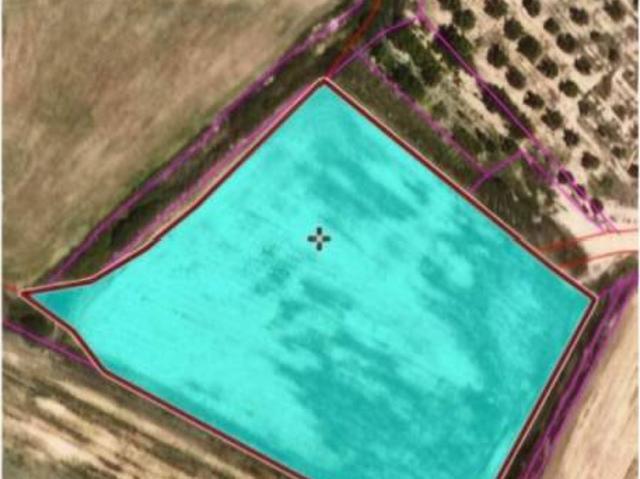 Terreno en venta en Pla d'Urgell, Catalunya
