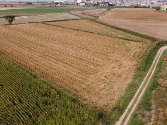 Terreno en venta en Pla d'Urgell, Catalunya