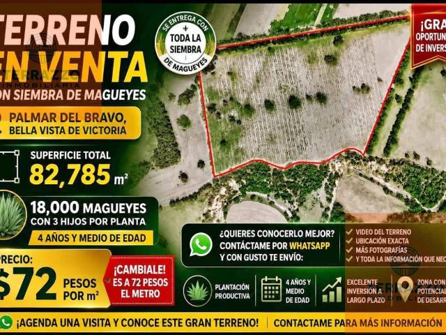 Terreno en venta en Bellavista de Victoria (San José Bellavista), Palmar de Bravo