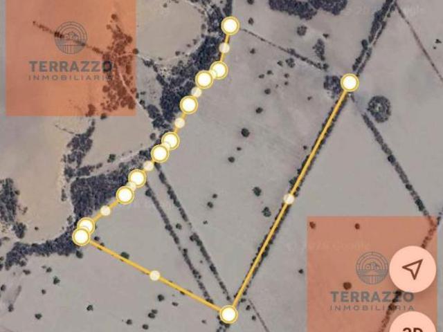Terreno en venta en Palmar De Bravo, Puebla