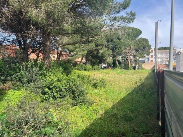 Terreno en venta en Bellcaire D'empordà