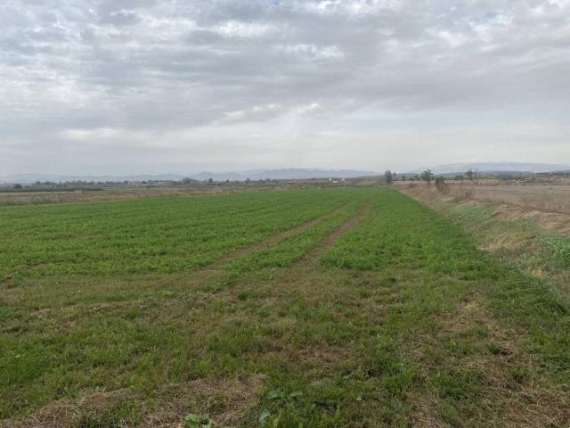 Terreno en venta en Noguera, Catalunya