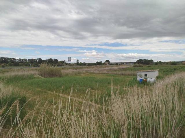 Terreno en venta en Bellpuig