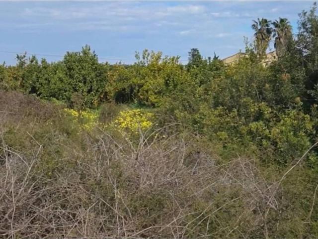 Terreno en venta en la Safor, Valencia