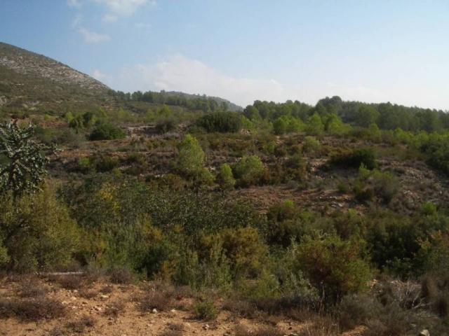 Terreno en venta en la Vall d'Albaida, Valencia