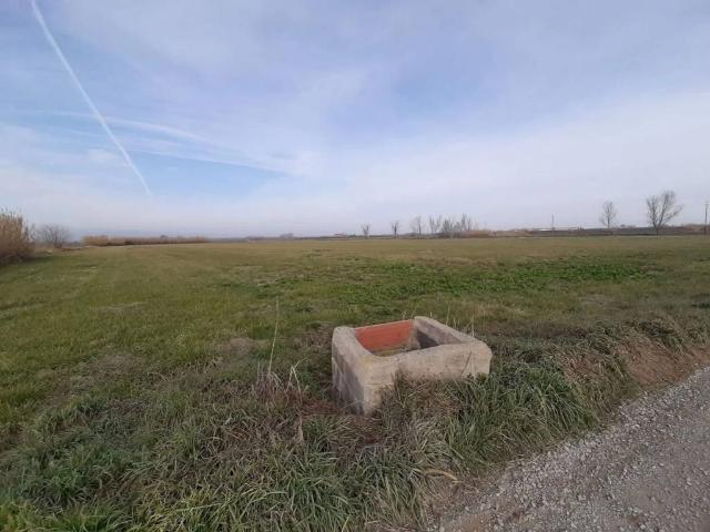 Terreno en venta en Pla d'Urgell, Catalunya