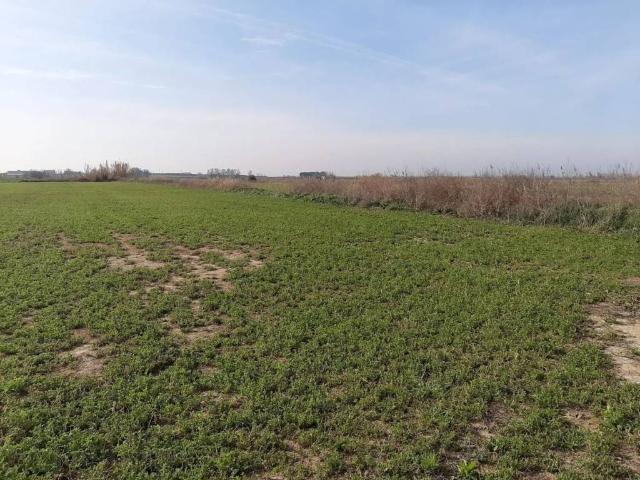 Terreno en venta en Noguera, Catalunya