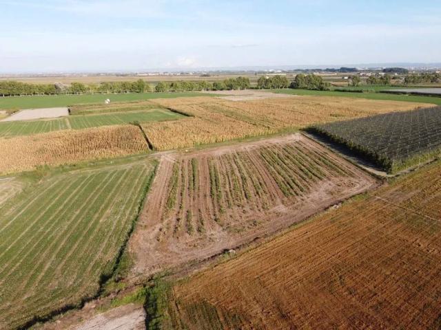 Terreno en venta en Pla d'Urgell, Catalunya