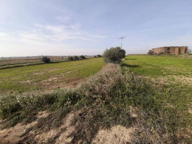 Terreno en venta en Pla d'Urgell, Catalunya