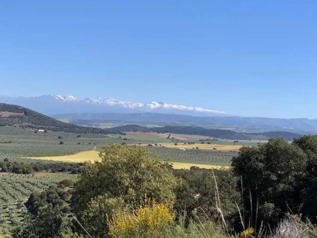 Terreno en venta en Bélmez de la Moraleda, Jaén