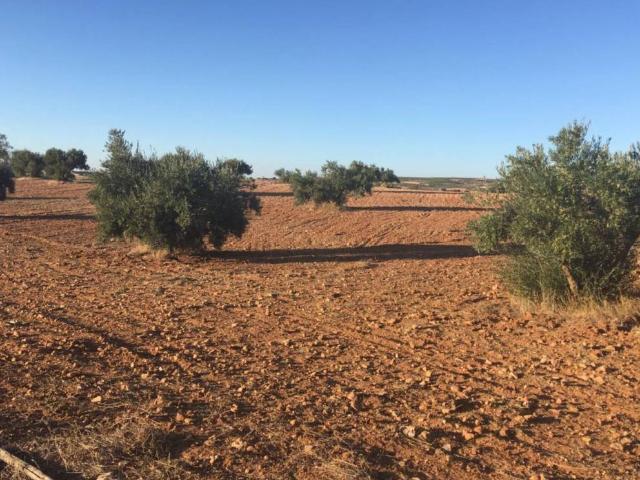 Terreno en venta en Belmonte, Castilla-La Mancha