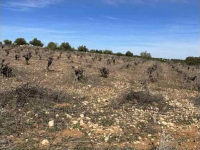 Terreno en venta en Belmonte De Tajo, Madrid