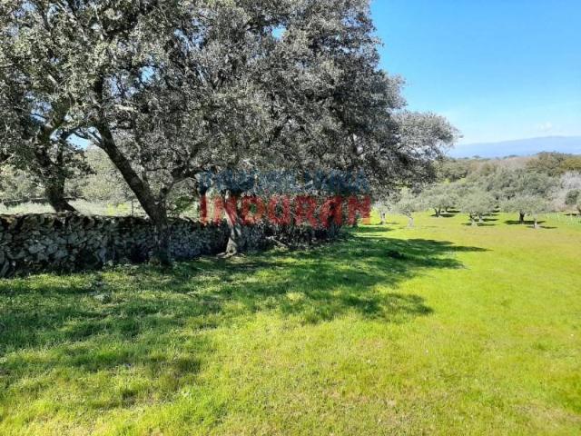 Terreno en venta en Belvís De Monroy, Extremadura