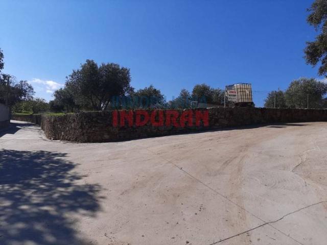 Terreno en venta en Belvís De Monroy, Extremadura