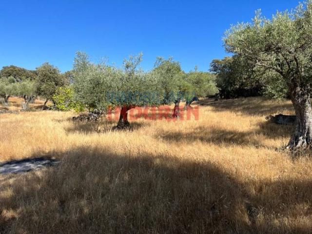 Terreno en venta en Belvís De Monroy, Extremadura