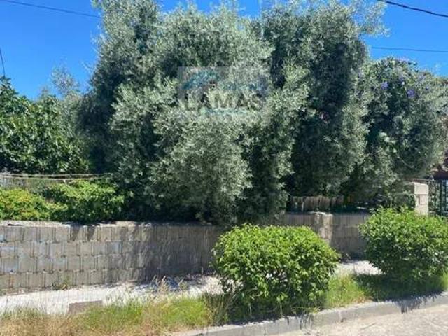 Terreno en venta en Belvís De Monroy, Extremadura