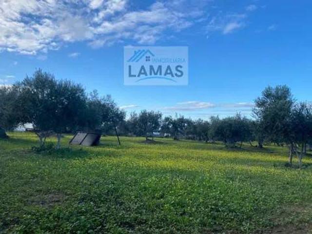 Terreno en venta en Belvís De Monroy, Extremadura